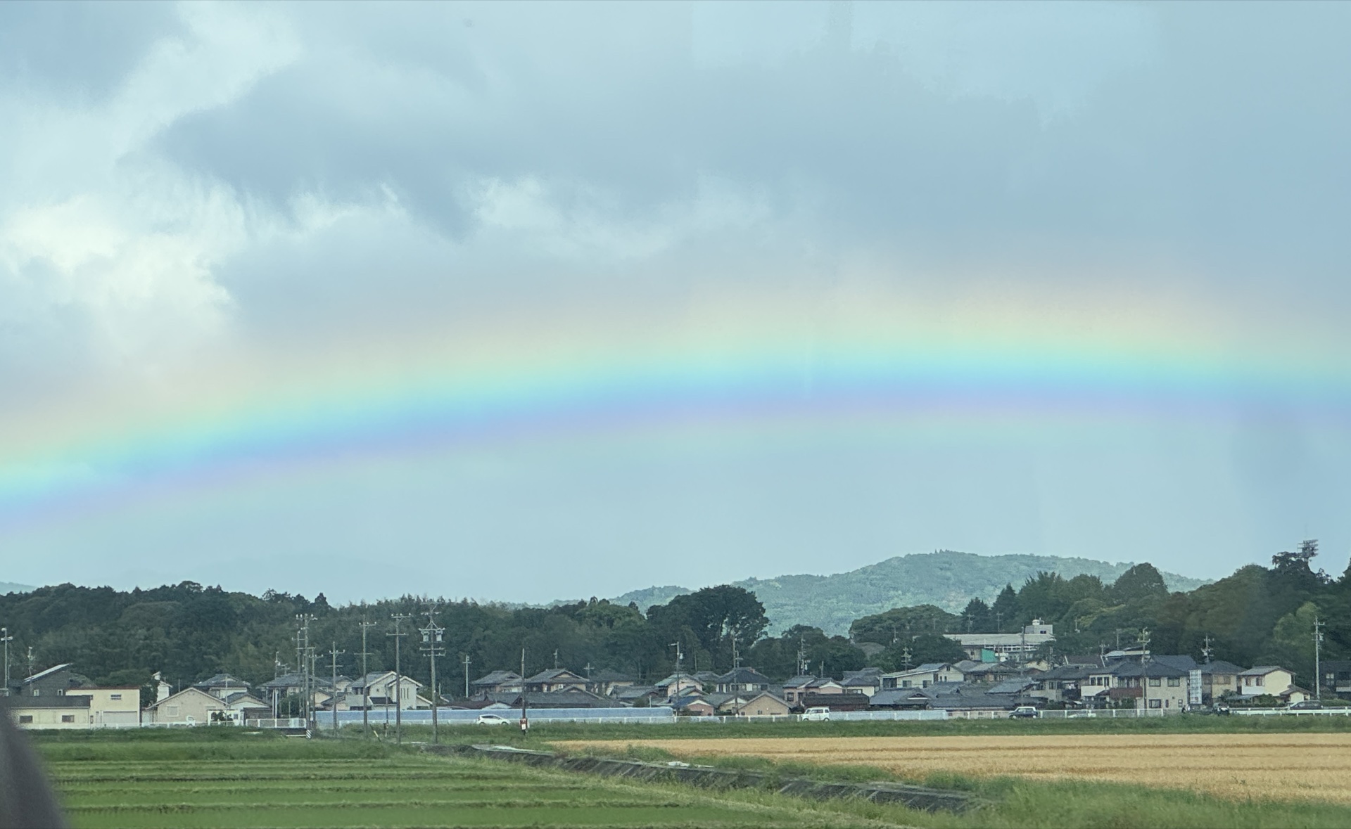 田んぼの上に大きく広がる虹